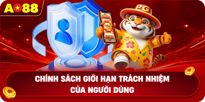 Chính sách giới hạn trách nhiệm của người dùng
